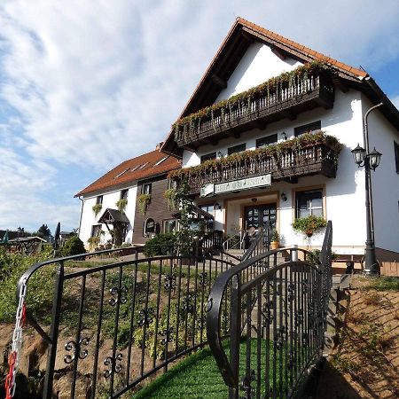 Hotel-Pension Flechsig Hartmannsdorf bei Kirchberg المظهر الخارجي الصورة
