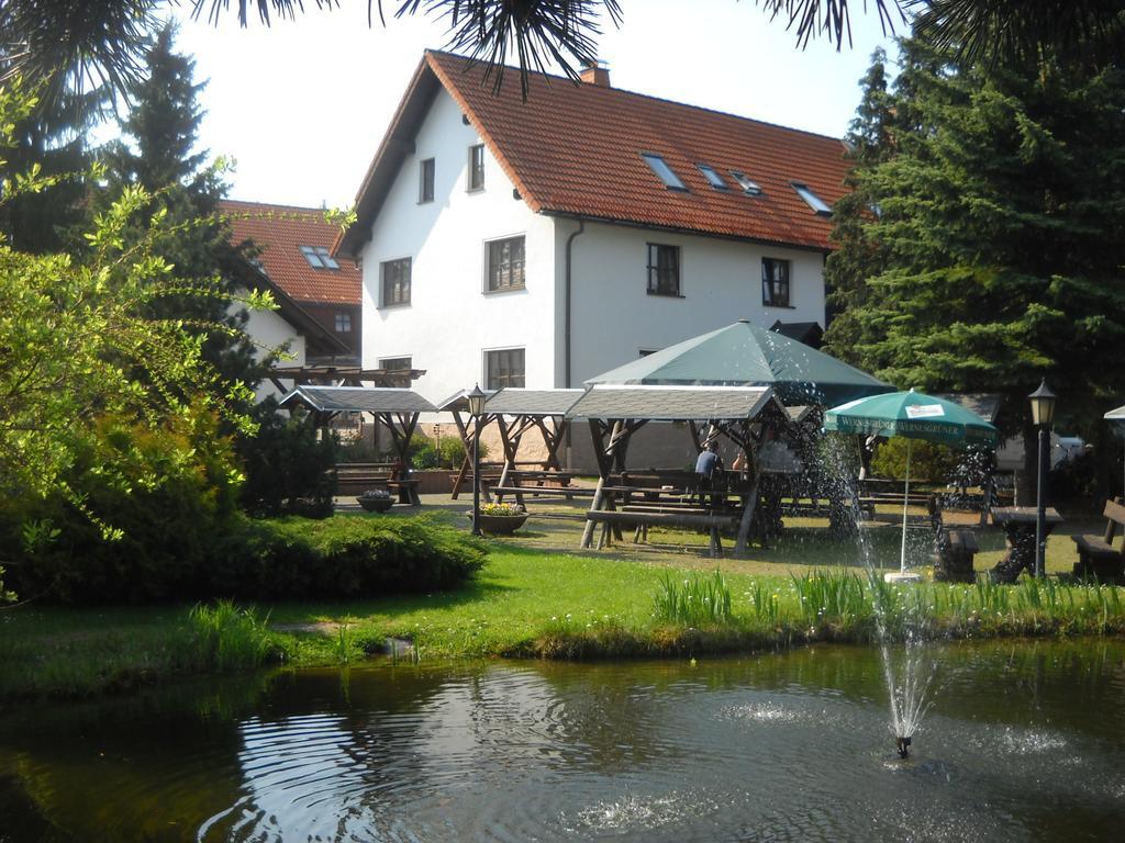 Hotel-Pension Flechsig Hartmannsdorf bei Kirchberg المظهر الخارجي الصورة